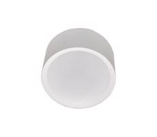 LED Koupelnové stropní svítidlo PERCI LED/20W/230V IP40 4000K bílá