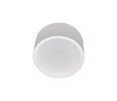 LED Koupelnové stropní svítidlo PERCI LED/30W/230V IP40 2700K bílá