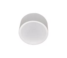 LED Koupelnové stropní svítidlo PERCI LED/30W/230V IP40 4000K bílá