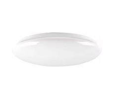 LED Koupelnové stropní svítidlo PIRIUS LED/12W/230V pr. 28 cm IP44