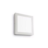 LED nástěnné a stropní svítidlo Ideal Lux Universal AP1 138633