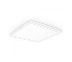 LED Přisazený panel XELENT 60 LED/40W/230V 4000K IP40