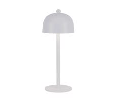 LED Stmívatelná dobíjecí stolní lampa LED/1W/5V 3000-6000K 1800 mAh bílá