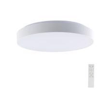 LED Stmívatelné stropní svítidlo LED/40W/230V 3000-6500K 39,5 cm bílá + DO