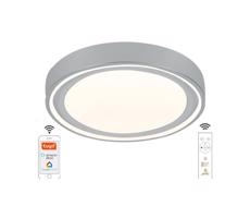 LED Stmívatelné stropní svítidlo LED/48W/230V 2700-6500K Wi-Fi Tuya + DO