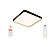 LED Stmívatelné stropní svítidlo LED/48W/230V 2700-6500K Wi-Fi Tuya + DO