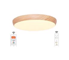 LED Stmívatelné stropní svítidlo LED/48W/230V 2700-6500K Wi-Fi Tuya + DO