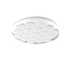 LED Stmívatelné stropní svítidlo LED/60W/230V 3000/4000/6500K + DO