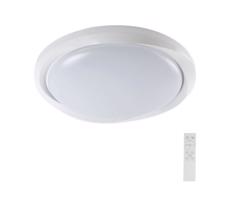 LED Stmívatelné stropní svítidlo LED/60W/230V 3000-6500K 49,2 cm bílá + DO