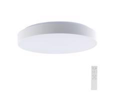 LED Stmívatelné stropní svítidlo LED/60W/230V 3000-6500K 49,5 cm bílá + DO