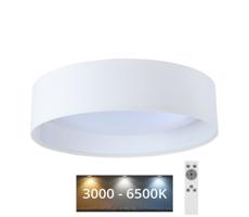 LED Stmívatelné stropní svítidlo SMART GALAXY LED/24W/230V bílá + DO