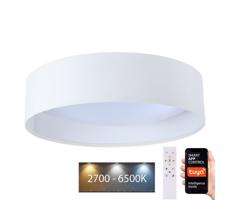 LED Stmívatelné svítidlo SMART GALAXY LED/24W/230V pr. 45 cm Wi-Fi Tuya + DO