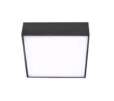 LED Stropní přisazené svítidlo AZzardo Falco 12 3000K black AZ2782 12W 1020lm 3000K IP20 12cm černé