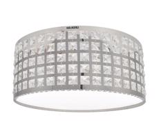 LED Stropní svítidlo ALEX LED/18W/230V