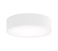 LED Stropní svítidlo CLEO LED/24W/230V 3000K pr. 30 cm bílá