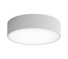 LED Stropní svítidlo CLEO LED/24W/230V 3000K pr. 30 cm šedá