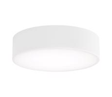 LED Stropní svítidlo CLEO LED/24W/230V 4000K pr. 30 cm bílá