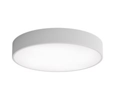 LED Stropní svítidlo CLEO LED/69W/230V 3000K pr. 50 cm šedá