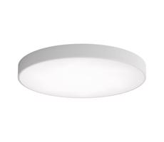 LED Stropní svítidlo CLEO LED/96W/230V 3000K pr. 80 cm šedá