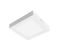 LED Stropní svítidlo GERRY LED/24W/230V 3000K