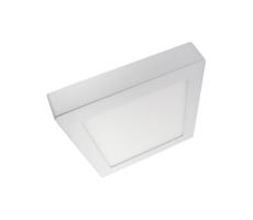 LED Stropní svítidlo LED/12W/230V 2700K