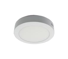 LED Stropní svítidlo LED/12W/230V 3000K