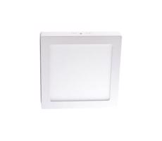 LED Stropní svítidlo LED/12W/230V 4000K 17,2x17,2 cm