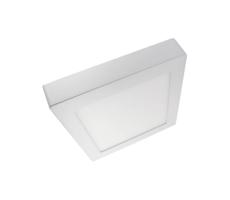 LED Stropní svítidlo LED/12W/230V 4200K