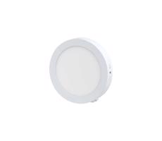 LED Stropní svítidlo LED/12W/230V