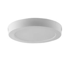 LED Stropní svítidlo LED/18W/230V 3000K