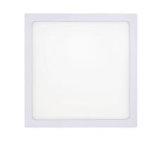 LED Stropní svítidlo LED/18W/230V 4200K 22x22 cm bílá