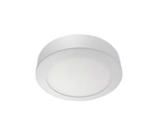 LED Stropní svítidlo LED/24W/230V 2700K