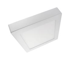 LED Stropní svítidlo LED/24W/230V 2700K