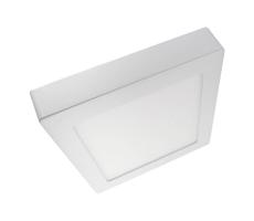 LED Stropní svítidlo LED/24W/230V 4200K