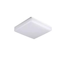 LED Stropní svítidlo LED/25W/230V 30cm IP44