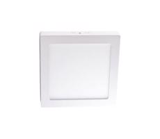 LED Stropní svítidlo LED/6W/230V 4000K 12x12 cm