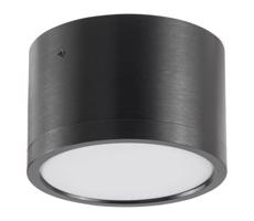 LED Stropní svítidlo MIRELLA 1xGX53/6W/230V černá