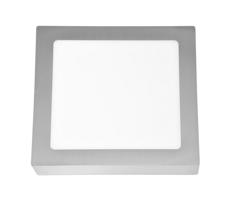 LED Stropní svítidlo RAFA LED/18W/230V 2700K