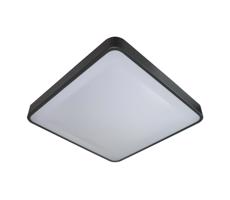 LED Stropní svítidlo se senzorem WILTON LED/24W/230V antracit