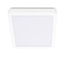 LED Stropní svítidlo SIGARO SQUARE LED/18W/230V 4000K IP40