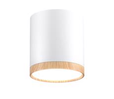 LED Stropní svítidlo TUBA LED/5W/230V bílá/béžová