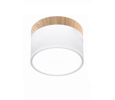 LED Stropní svítidlo TUBA LED/9W/230V bílá/béžová