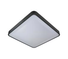 LED Stropní svítidlo WILTON LED/24W/230V antracit