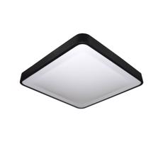 LED Stropní svítidlo WILTON LED/24W/230V černá