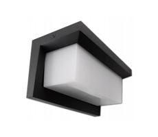 LED Venkovní nástěnné svítidlo LED/12W/230V IP54 černá