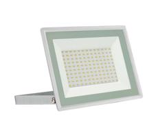 LED Venkovní reflektor NOCTIS LUX 3 LED/100W/230V 4000K IP65 bílá