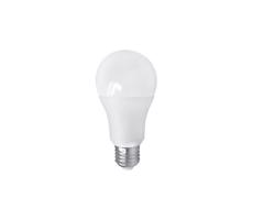 LED Žárovka PITT A60 AC/DC E27/12W/24V 4000K