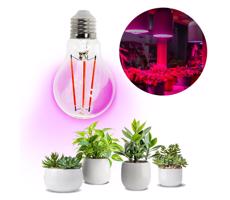 LED Žárovka pro růst rostlin PLANTY E27/8W/230V 1200K