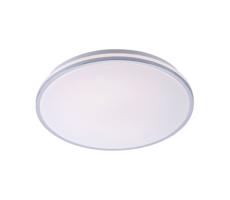 Leuchten Direkt Leuchten Direkt 14844-17 - LED Koupelnové stropní svítidlo ISABELL LED/22W/230V IP44