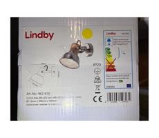 Lindby Lindby - LED Nástěnné bodové svítidlo DENNIS 1xE14/4W/230V